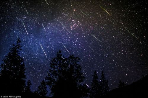 It’s nearly that time of year again! Time to get a peek of the annual Perseid meteor shower. The Per