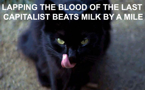aacats:  Animals Against Capitalism &amp; The State