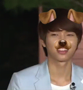 inpiniteu:puppy (filter) woohyun
