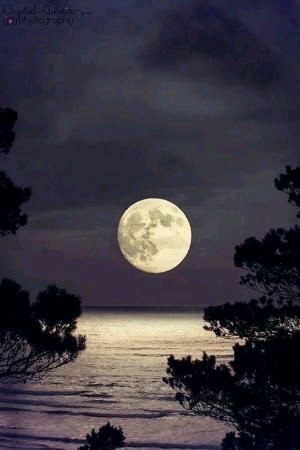 luca701:  Good night….. 