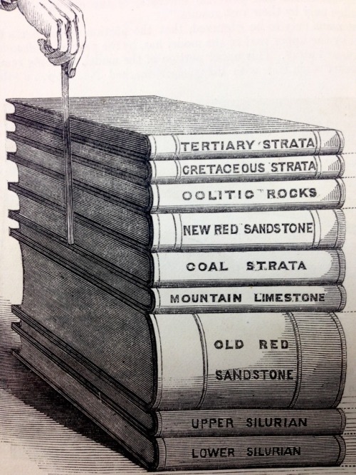 rickinmar:the layers, as we knew them in the 1850s.