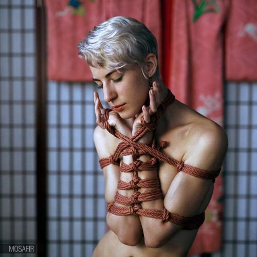 mosafir:  Md: @olga.cervata #shibari #bondage #kinbaku #шибари #кинбаку #bdsm #бондаж #Mosafir #rope #girls #erotica