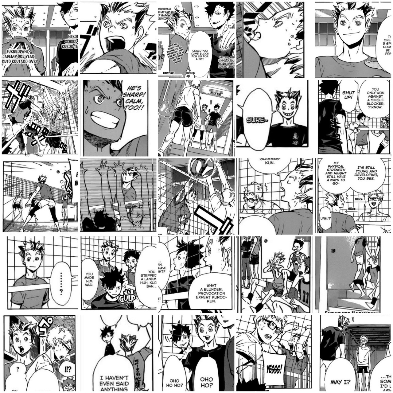 mausalen:  I fucking did it, 243 panels in total Bokuto’s appearances in the manga.