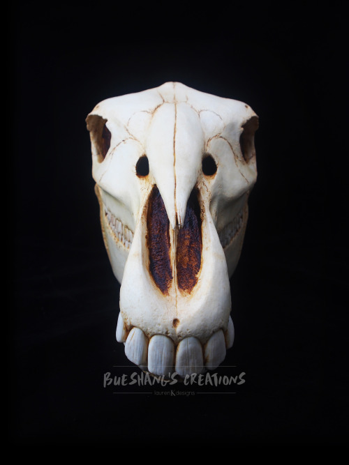 My newest mask is finally done! Meet the majestic horse skull, perfect for all you Mari Lwyd needs.T