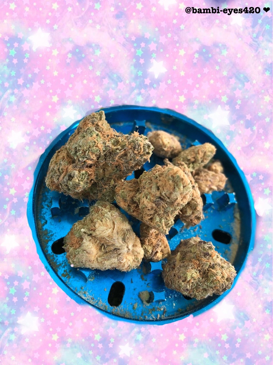 bambi-eyes420:  fℓσωєяѕ (´ ▽｀).。ｏ♡ 