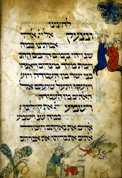 shelomit-bat-dvorah:jewishhenna:letmypeopleshow:10 Lavishly Illustrated Medieval Haggadah Pages That