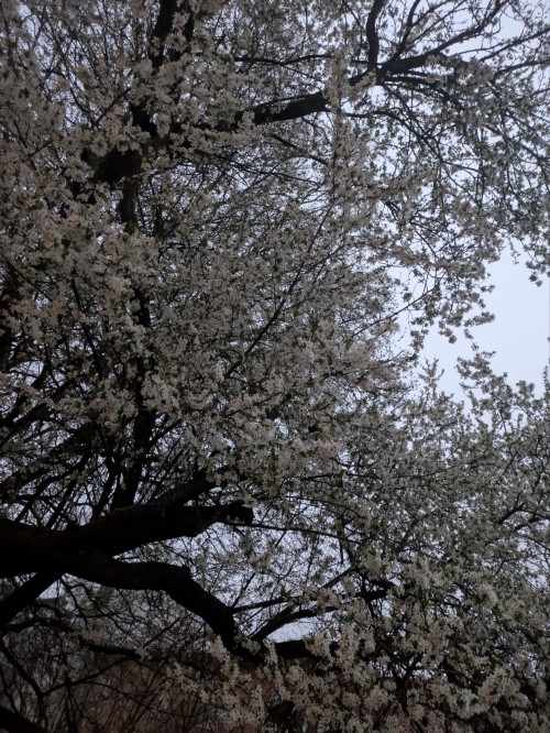 Fog And Fairies. The Lights Barely Shine Through And I Feel The Damp Air All Around Me. I Feel Hidden.