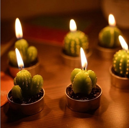 wickedclothes: Succulent Cactus Candles Cute little cactus plants that you never have to take care o