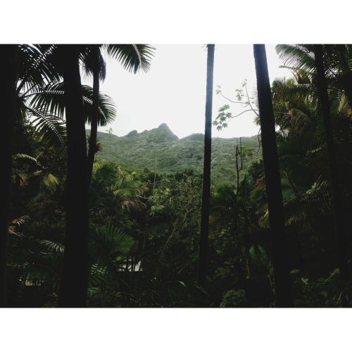 martinabcdefg: Hiking to La Mina Falls