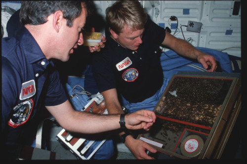 What&rsquo;s Buzzing in the National Archives CatalogSince September is National Honey Month, we