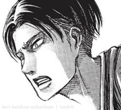 snk-levi:  Ackermans in Chp.65 