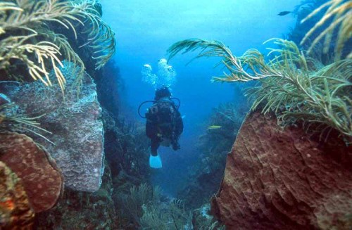 mistaren:Trinidad and Tobago &lt;3These are actually some great shots…I feel a tad of National pride