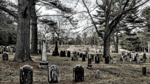 swforester:Scenes from Quabbin Park cemetery. This cemetery was created in 1932 because of the const