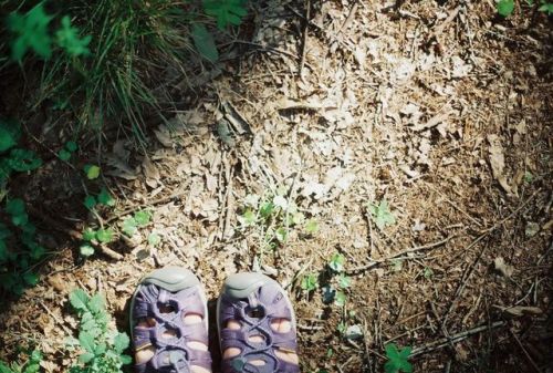 キャンプの写真 . . . また長野行きたいなぁ☺︎ . . . #キャンプ#camp#長野#足元#ザ花部. . . (Nagano Prefecture, Japan) http