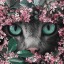 catboyfuneral