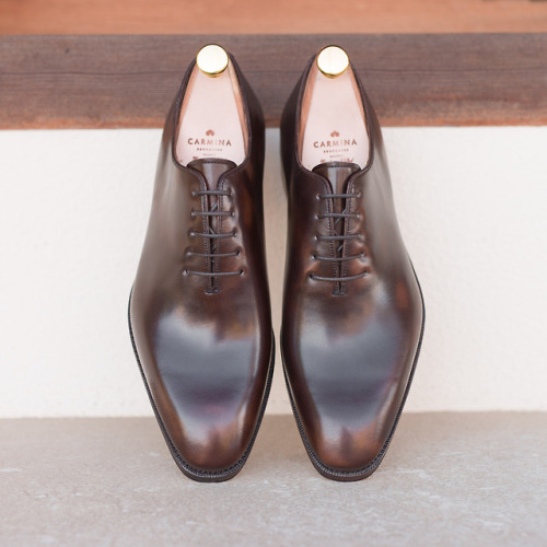 carminashoemaker: Introducing our Staple wholecut oxford 910 now in vocalou demasquable from Tanneri