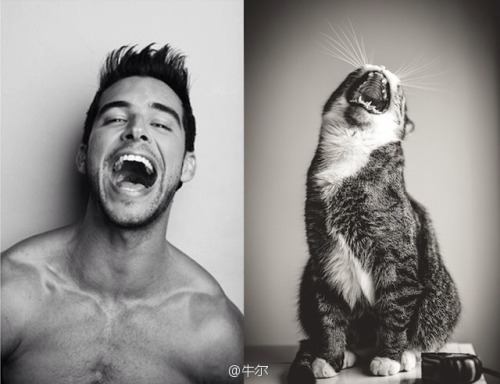 Des Hommes et Des Chatons ~ Meow ~ 