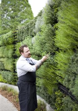 enochliew:Edible Garden at the Atlanta Botanical Garden It includes a herb wall and outdoor kitchen where top chefs present cooking classes.