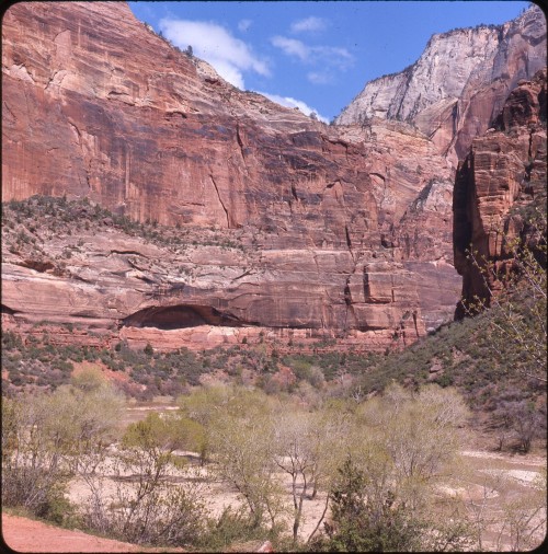 twoseparatecoursesmeet: Zion National Park, 1969 Doris Thomas