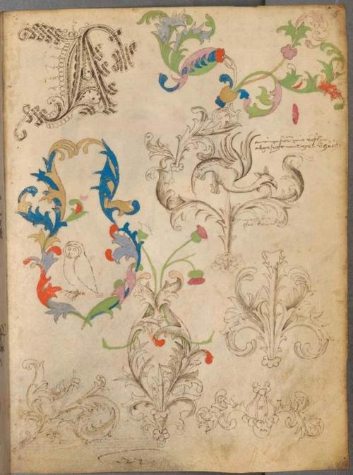 The illuminated sketchbook of Stephan Schriber is a series of pages dating from 1494 in which &ldquo