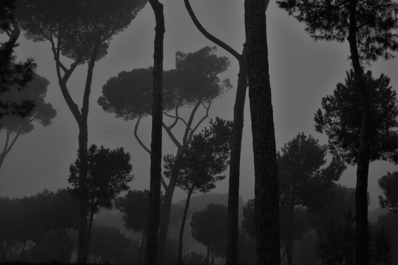 imickeyd:  kuplenko2:  Kuplenko2 Borghese Gardens Rome-2016 ©Kuplenko  