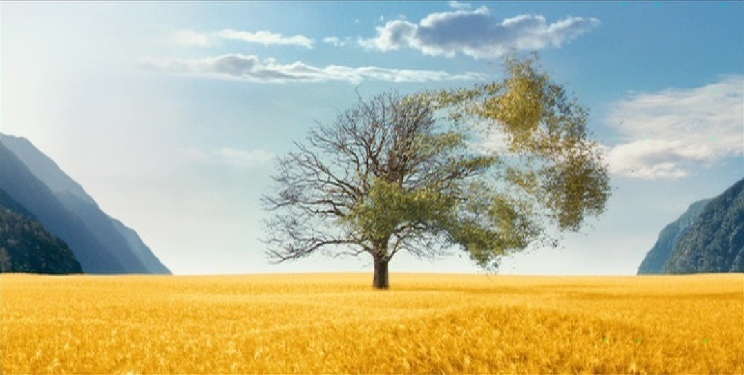 if-its-notlikethemovies:  The Lovely Bones (2009) dir. Peter Jackson“These were