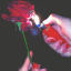 sweet-agony-050991
