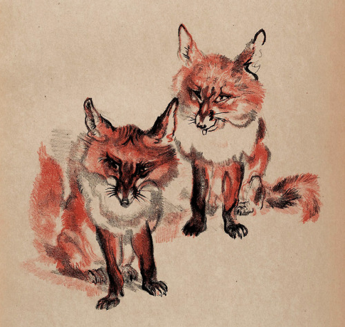 Ludwig Heinrich Jungnickel (1881-1965), &lsquo;Unsere Füchse&rsquo; (Our Foxes), &ldquo;Die Graphisc