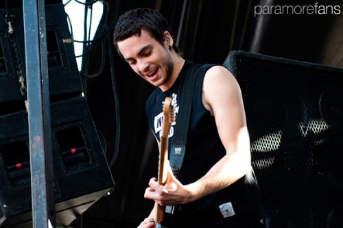 Taylor York