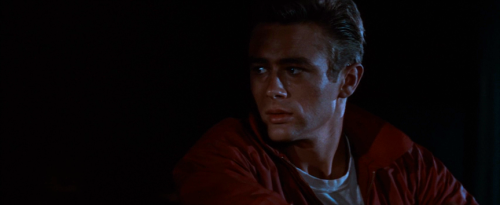 365filmsbyauroranocte: Rebel Without a Cause (Nicholas Ray, 1955)     