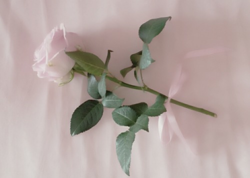 lambydiary:  a gift from my boyfriend ♡ 