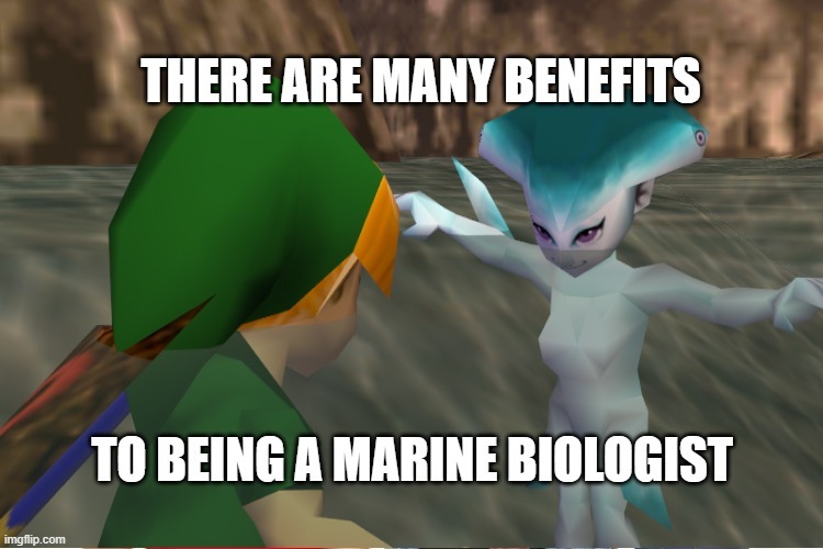 ocarina of time on Tumblr  Legend of zelda, Ocarina of time, Legend of  zelda memes