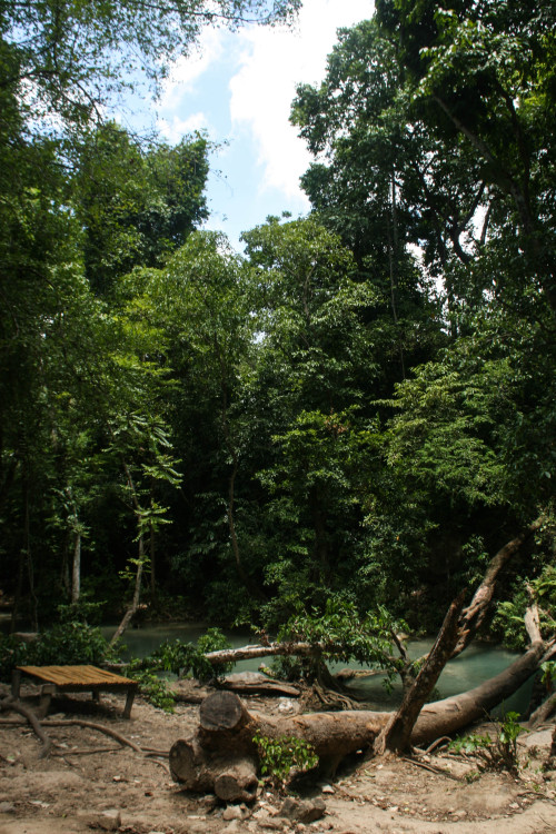 travellingthailand:  Erawan waterfalls 1 - Kanchanaburi 