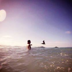 dailyonedirection:  @harrystyles: And there’s a Pelican. 