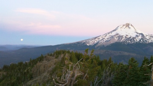 jrodon:Photo of mount hood and the moon at sun rise from a backpacking trip I did a couple years ago