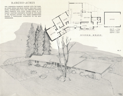 vintagehomeplans:United States, 1951: Rancho-AcresAn interesting three-bedroom ranch with angled sle