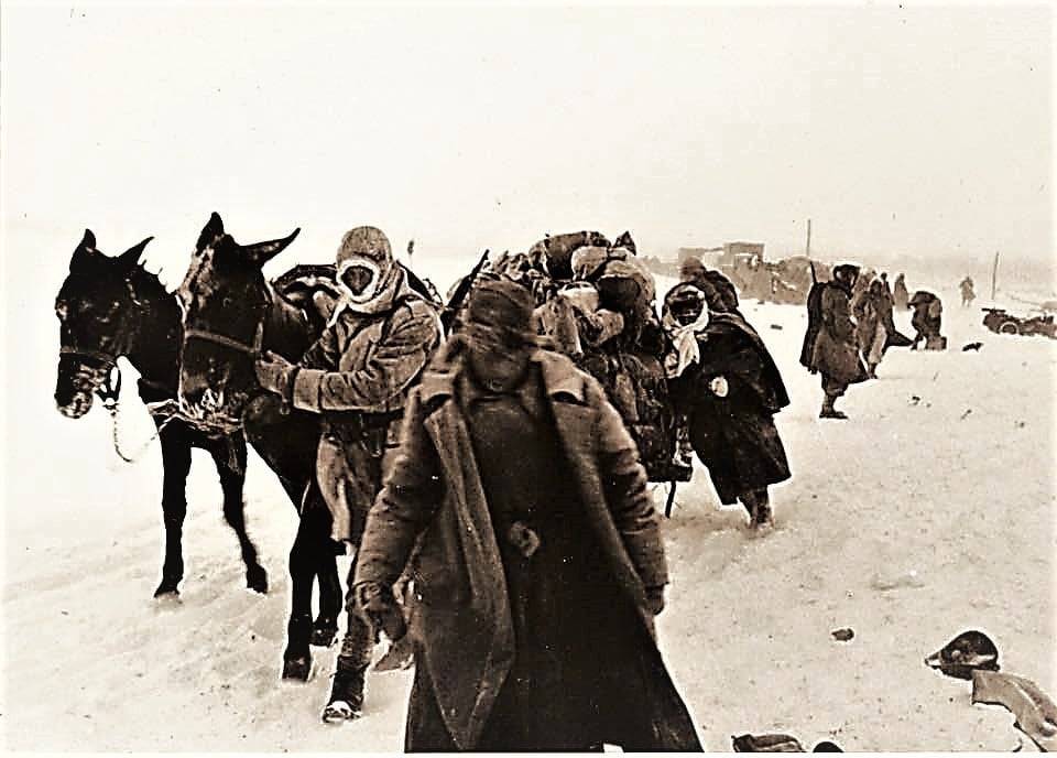 Per non dimenticare le infamie fasciste!
“Stanchi, sfiniti, ci si accascia; per un attimo diventano fagotti neri nello sconfinato nevaio, poi la neve cancella anche quelli. Diventano 84.830 puntini, alla media di 2000 al giorno, 300 all'ora, ogni...