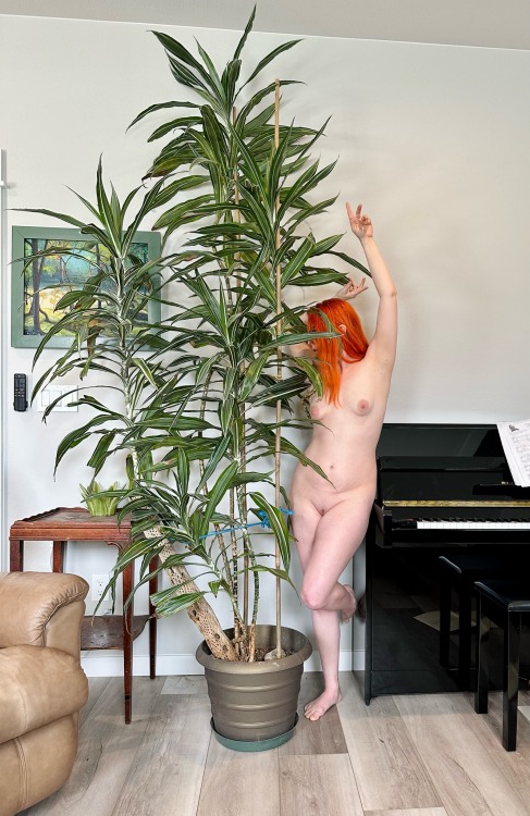 musesmischief:Whore-ticulture: A series of nudes with my plants. Dracena fragrans: striped dracaena, compact dracaena, and corn plant (not the real Zea mays🌽 though!)Dracena fragrans grows native throughout tropical Africa and are popular houseplants
