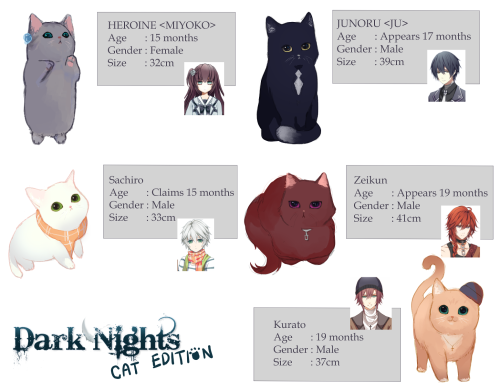 Dark Nights Cat Edition!!