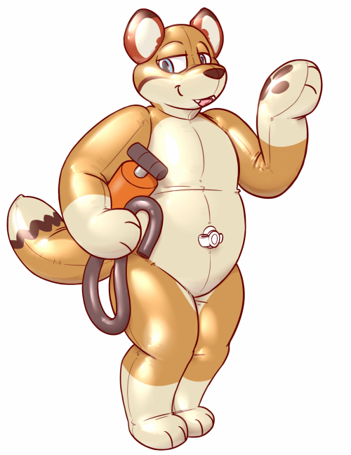 pooltoy coyote for decaf