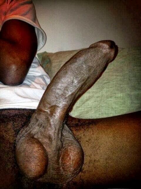 sucdaddy:  Deez nuts
