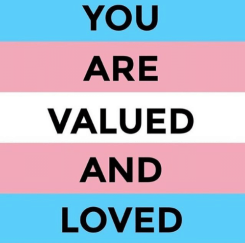 Dear Trans Youth: