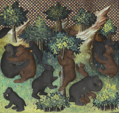 discardingimages:bear clubGaston Phébus, Livre de la chasse, Paris 15th centuryBnF, Français 616, fo