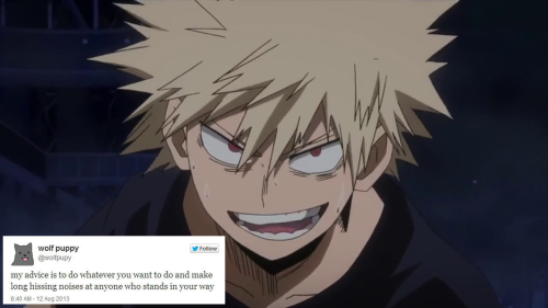 thylovelylionheart: correctbnha: bakugou but wolfpupy tweets @an-assortment-of-forks