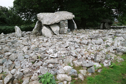 Dyffryn Prehistoric Burial Chambers, Dyffryn Ardudwy, North Wales, 28.8.18Two prehistoric communal b