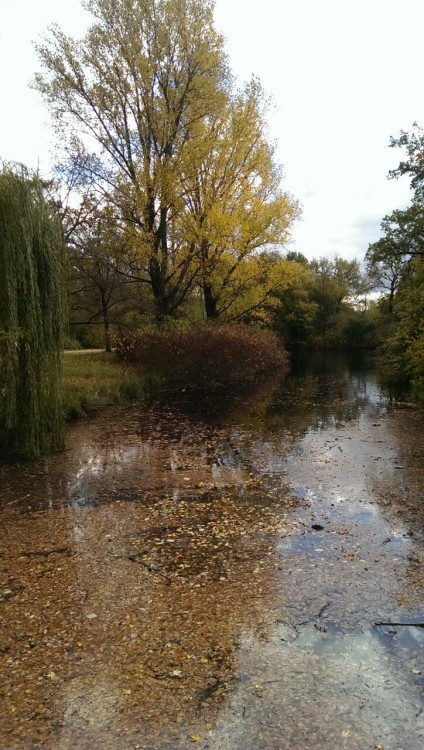 I spent 4 or 5 hours wondering around the Tiergarten today and decided I could stay there forever.