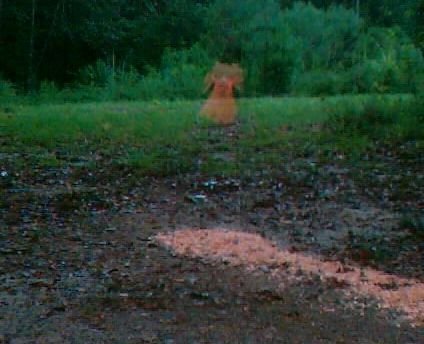 THE LADY IN PINKThis picture was taken with my grandpaw’s deer camera. It’s motion detection.    The