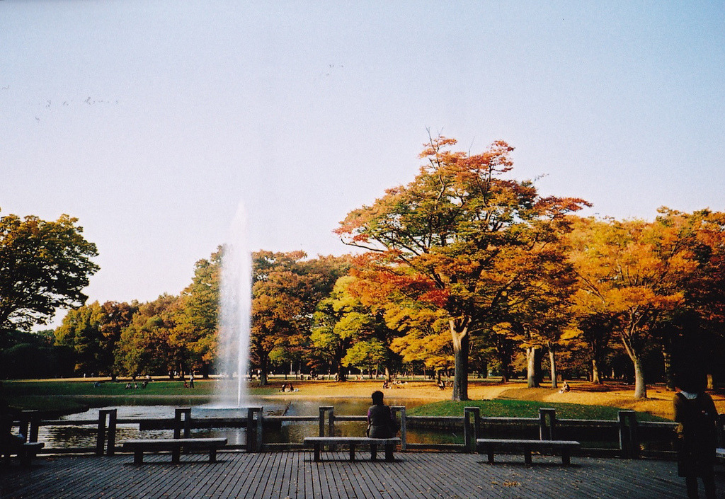 englishsnow:   risaikeda 