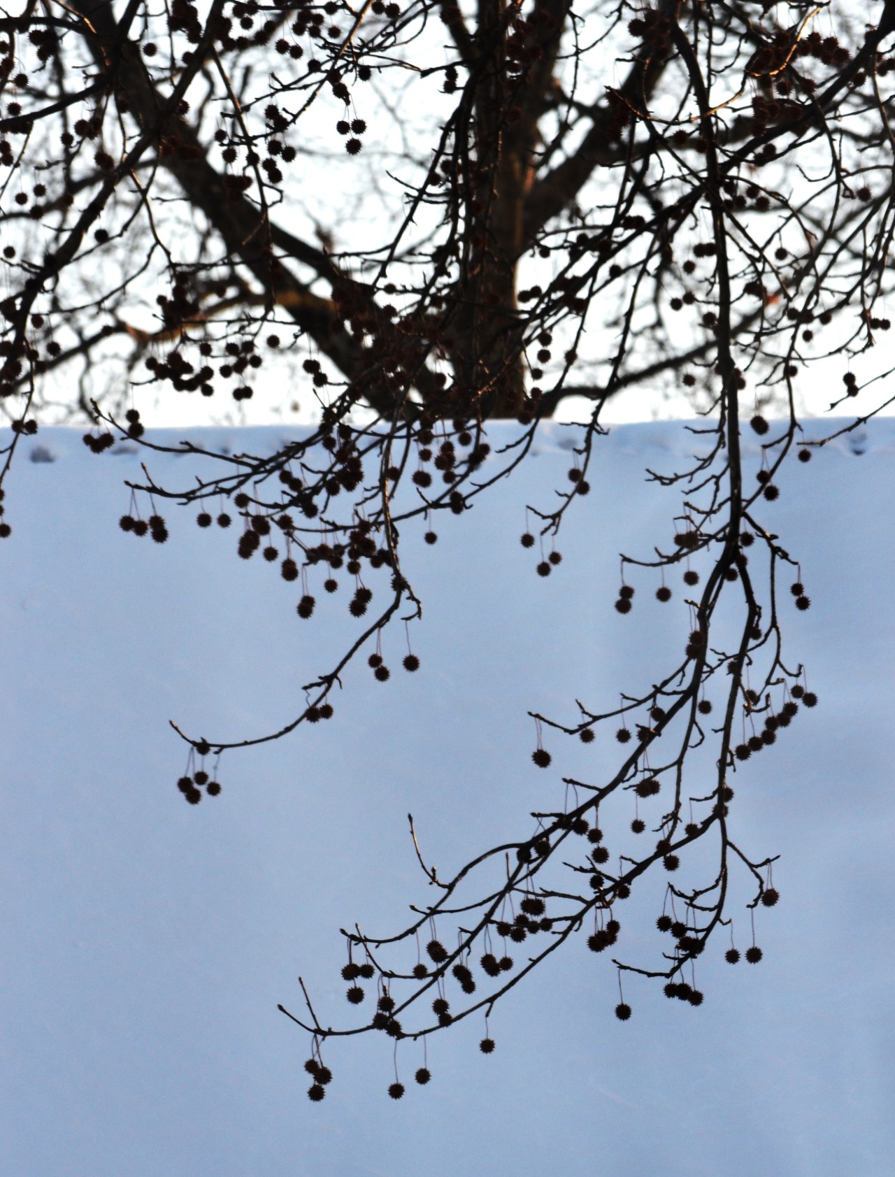 Tumblr Photo