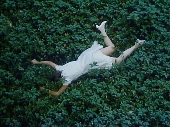 orwell: Fruit of Paradise, 1970, Vera Chytilová  